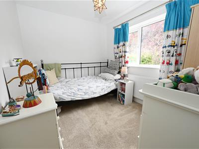 Picture 20